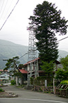 藤橋村横山の火の見